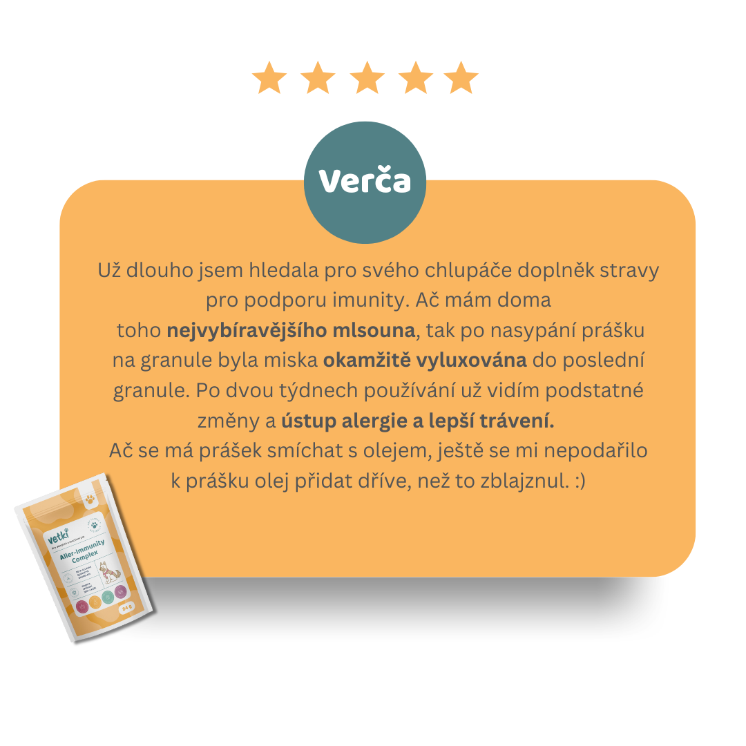 recenze_final